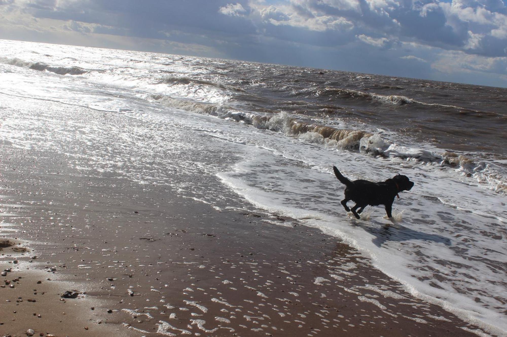 Norfolk Accommodation Heacham Esterno foto