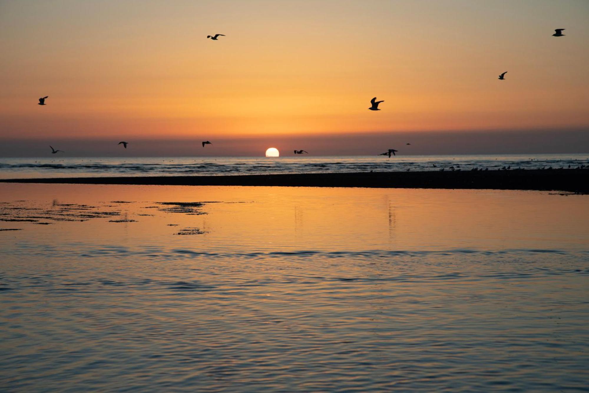 Norfolk Accommodation Heacham Esterno foto