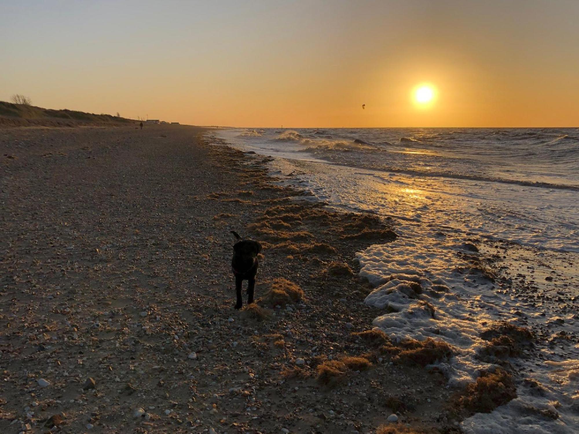 Norfolk Accommodation Heacham Esterno foto